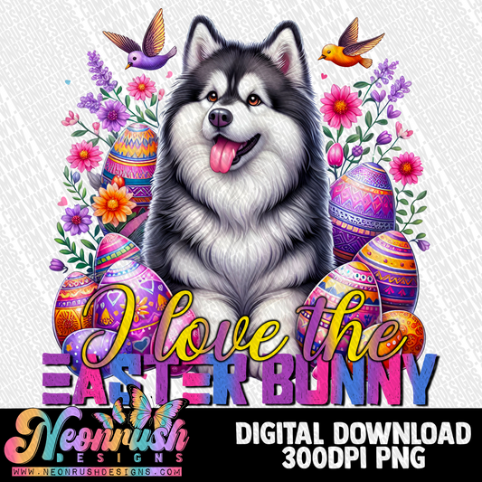 I love the easter bunny Alaskan malamute png digital download