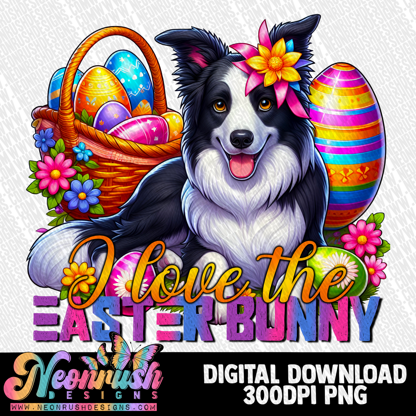 I love the easter bunny border collie png digital download