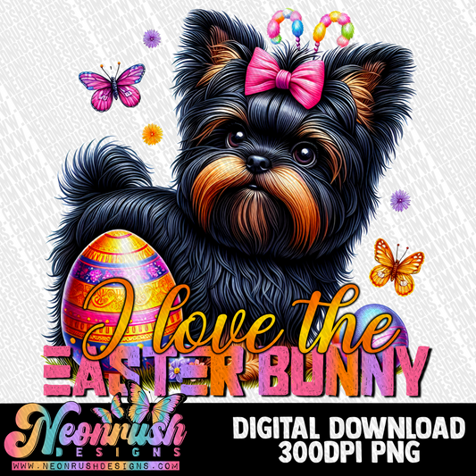 I love the easter bunny Affenpinscher png digital download