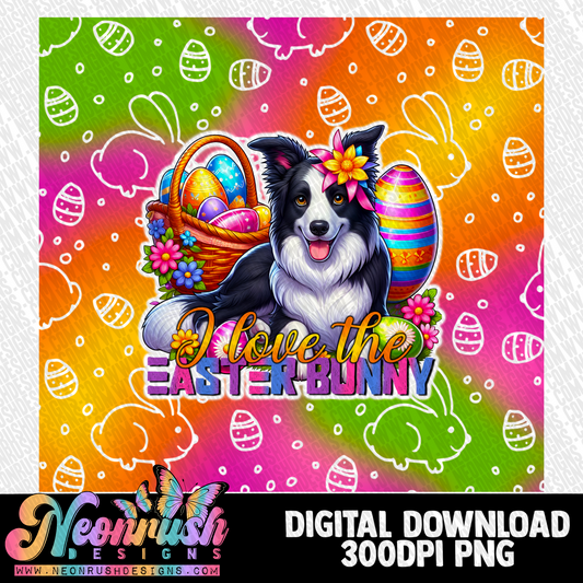 I love the Easter bunny border collie  tumbler wrap digital download