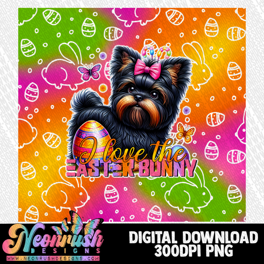 I love the Easter bunny Affenpinscher tumbler wrap digital download